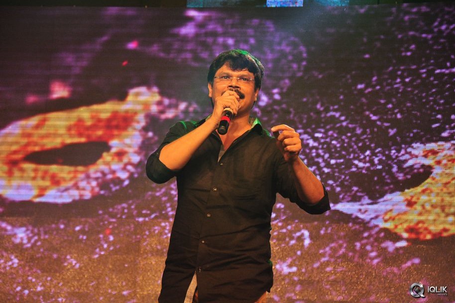 Sarrainodu-Movie-Blockbuster-Function